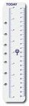 DEBDEN DAYPLANNER DESK EDITION REFILL TODAY RULERS DESK SIZE PACK 2