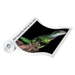 SIHL SUPERDRY ROLLUP FILM 190 MICRON SATIN POLYESTER FILM 914MM X 30M WHITE