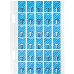 AVERY 44420 LATERAL FILE LABEL TOP TAB T COLOUR CODE 20 X 30MM BLUE WITH STRIPE PACK 150