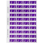 AVERY 44510 LATERAL FILE LABEL SIDE TAB J COLOUR CODE 25 X 42MM PURPLE PACK 240