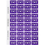 AVERY 44525 LATERAL FILE LABEL SIDE TAB Y COLOUR CODE 25 X 42MM PURPLE PACK 240