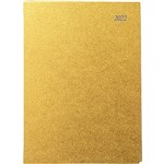 CUMBERLAND 2022 SOHO SPIRAL DIARY PVC WEEK TO VIEW 1 HOUR A5 GOLD