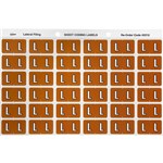 AVERY 43312 LATERAL FILE LABEL SIDE TAB L COLOUR CODE 25 X 38MM MUSTARD PACK 180