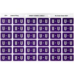 AVERY 43321 LATERAL FILE LABEL SIDE TAB U COLOUR CODE 25 X 38MM PURPLE PACK 180