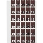 AVERY 44239 LATERAL FILE LABEL TOP TAB YEAR CODE 19 20 X 30MM BROWN BOX 150