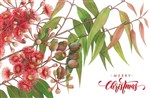 CHRISTMAS CARD AUSTRALIAN GREETINGS