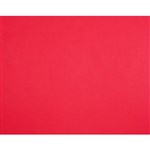 QUILL BOARD 210GSM 510 X 635MM RED PACK 20
