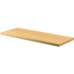 RAPID WORKER BOOKCASE SHELF 900 X 300 X 25MM BEECHIRONSTONE