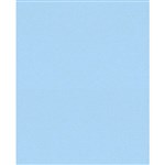 COLOURFUL DAYS COLOURBOARD 200GSM 510 X 640MM LIGHT BLUE PACK 50