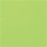 COLOURFUL DAYS COLOURBOARD 200GSM 510 X 640MM LIME GREEN PACK 50