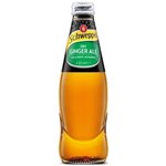 SCHWEPPES DRY GINGER ALE BOTTLE 300ML CARTON 24
