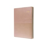 COLLINS 2022 VANESSA DIARY WEEK TO VIEW A5 CHAMPAGNE