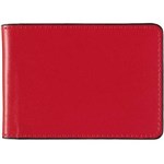 DEBDEN ACCENT BUSINESS CARD HOLDER 24 SLOT RED