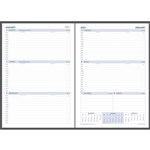DEBDEN 2022 DAYPLANNER EXECUTIVE EDITION REFILL WEEK TO VIEW
