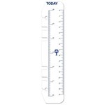 DEBDEN DAYPLANNER PERSONAL EDITION REFILL TODAY RULERS SIZE PACK 2