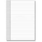 DEBDEN DAYPLANNER PERSONAL EDITION REFILL NOTEPADS SIZE PACK 2