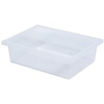 ELIZABETH RICHARDS PLASTIC TOTE TRAY CLEAR