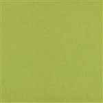 FILASORB PANEL FULL COLOUR 1220 X 2800 X 24MM WASABI
