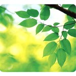 FELLOWES MOUSE PAD RECYCLED OPTICAL LEAVES