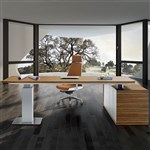EVOLUTION CEO HEIGHT ADJUSTABLE DESK 2280 X 2100MM ZEBRANO VENEER