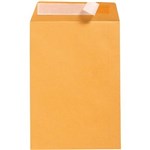 OFFICE NATIONAL C4 ENVELOPES POCKET PLAINFACE STRIP SEAL 80GSM 324 X 229MM GOLD BOX 250