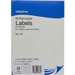 INITIATIVE MULTIPURPOSE LABELS 33UP 64 X 243MM PACK 100