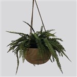 PLANT IMAGE MIXED HANGING BASKET LARGE 300MM GREEN WHITE
