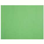 QUILL XL MULTIBOARD 210GSM 510 X 635MM LIME PACK 20