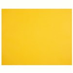 QUILL XL MULTIBOARD 210GSM 510 X 635MM SUNSHINE PACK 20