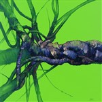 QUIETPRINT ACOUSTIC ART BY DREW HARRISON LARGE MEDUSA COMPLEX