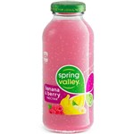 SPRING VALLEY BANANA BERRY NECTAR JUICE GLASS 300ML CARTON 24