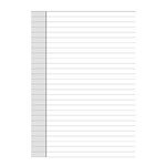 DEBDEN DAYPLANNER SLIMLINE EDITION REFILL NOTE PAD 162 X 82MM