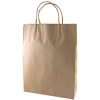 Carry Bags