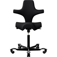Ergonomic Chairs