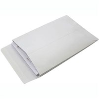 Expandable Envelopes