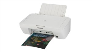 CANON PIXMA MG2960