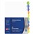 AVERY 87701 L744010 STYLE EDGE INSERTABLE DIVIDER 10 COLOUR TAB