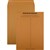 CUMBERLAND C4 ENVELOPES INTEROFFICE POCKET UNGUMMED 100GSM 324 X 229MM GOLD BOX 250