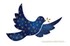 CHRISTMAS CARD MAGICAL DOVE