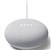 GOOGLE NEST MINI CHALK