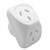 THE BRUTE POWER CO DOUBLE ADAPTOR ANGLED