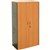RAPID WORKER CUPBOARD LOCKABLE 1800 X 900 X 450MM CHERRYIRONSTONE