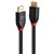 LINDY 41169 ACTIVE DISPLAYPORT CABLE 14 10M BLACK