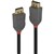 LINDY 36481 ANTHRA LINE DISPLAYPORT 14 CABLE 1M BLACK