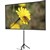 EPSON ELPSC21B PORTABLE TRIPOD PROJECTOR SCREEN 80 INCH
