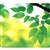 FELLOWES MOUSE PAD RECYCLED OPTICAL LEAVES