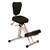 SYLEX PHYSIOFLEX III POSTURE CHAIR