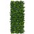 PLANT IMAGE GARDENIA EXPANDING TRELLIS 2000 X 100 X 1000MM