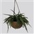 PLANT IMAGE MIXED HANGING BASKET LARGE 300MM GREEN WHITE