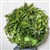 PLANT IMAGE VERTICAL WALL GARDEN ROUND LARGE
